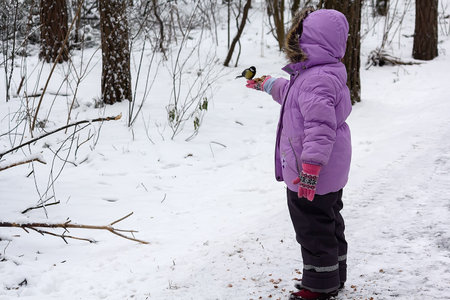A child feeds a tit from the palm of his hand in a winter parkの写真素材