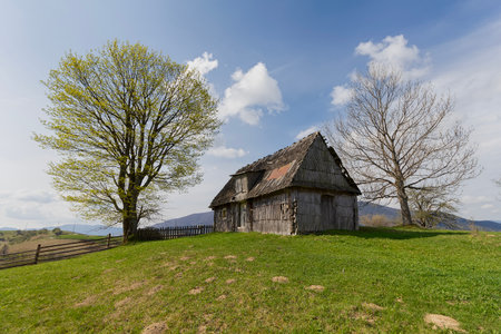 Cozy landscape with an old wooden house in spring Carpathian mountains in Ukraineの写真素材
