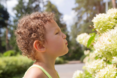 Little child sniffs fresh flowers in city park. Peopleの写真素材