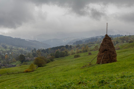 Stack of hay on a green meadow in the mountains. Carpathiansの写真素材