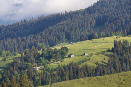 Mountain plain is flooded with sunlight. Carpathiansの写真素材