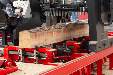 Bandsaw saws logs Sawmill and woodworking equipment. Woodworking industry