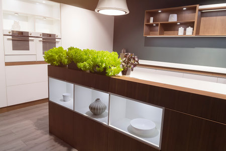Modern spacious kitchen with a green plant?. Interiorの写真素材