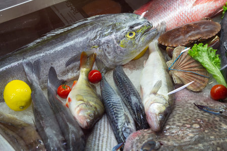 Fish and seafood in a fish shop window. Foodの写真素材