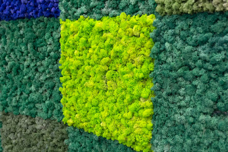 Stabilized moss panels in a showcase. Industryの写真素材
