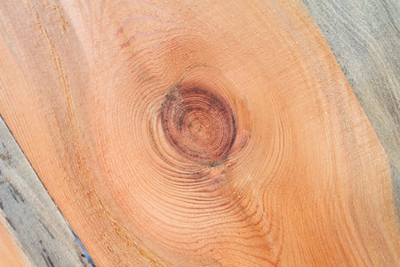 Orange wooden boards with knots. Backgrounds and texturesの写真素材