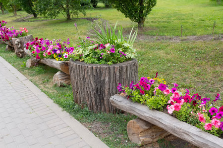 Flower flowerbeds in the form of an old stump. Natureの写真素材