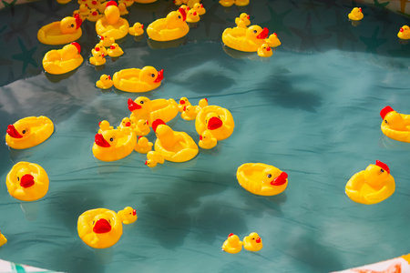 Many rubber yellow toy ducks floating in children's pool/ Vacationの写真素材