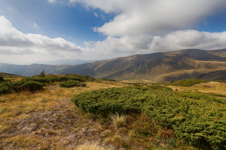 Mountains are covered with various vegetation and the cloudy sky. Carpathiansの写真素材