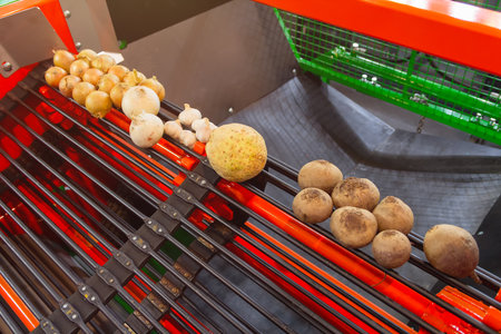 Equipment for sorting vegetables. Agricultureの写真素材