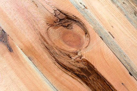 Orange wooden boards with knots. Backgrounds and texturesの写真素材