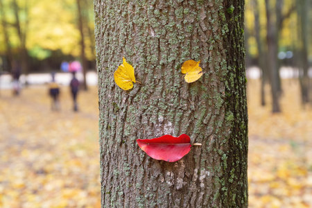 Funny character from the leaves on the trunk of a tree in an autumn park. Natureの写真素材