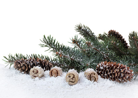 Pine and cones isolated on a white background