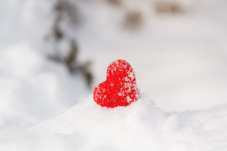 Heart of the red thread on the snow. Loveの写真素材