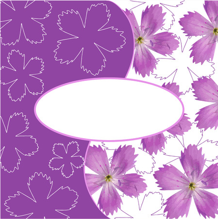 Purple Flower, Isolated On White Background, Vector Illustrationのイラスト素材