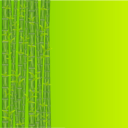 Green bamboo background. Vector illustration. Freehand drawingのイラスト素材