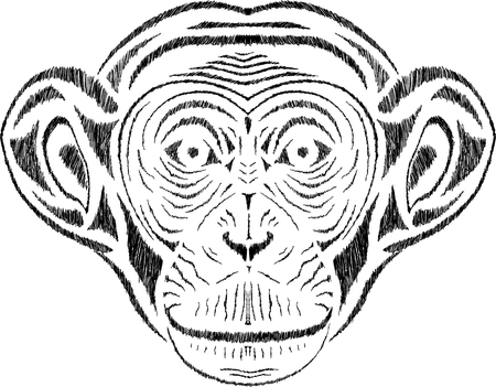 chimpanzee vintage illustration, engraved retro style, hand drawn, sketchのイラスト素材