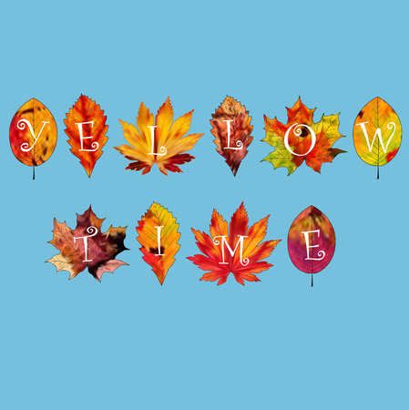 A set of colorful autumn leaves on a white background.のイラスト素材