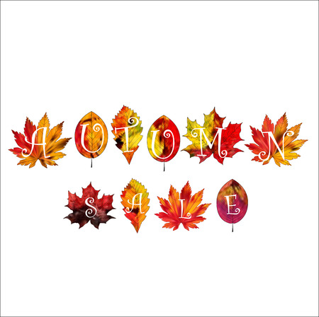 A set of colorful autumn leaves on a white background.のイラスト素材