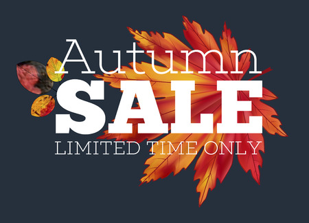 Sale banner with colorful seasonal fall leaves. Shopping discount promotion vector illustration. Bright autumn tree foliage background.のイラスト素材