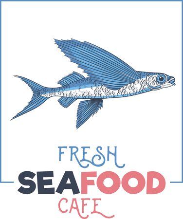 Exocoetidae or Flying fish hand drawingのイラスト素材