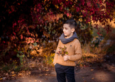 Handsome stylish boy standing in autumn park. Style , fashion .の写真素材