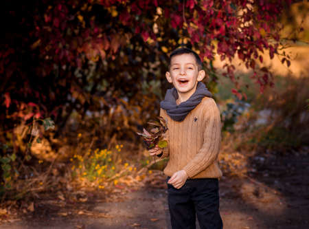 Handsome stylish boy standing in autumn park. Style , fashion .の写真素材