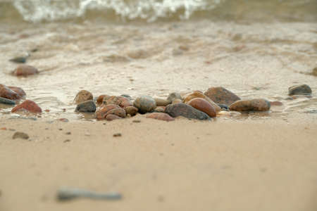 Beautiful rocky sea shore with driftwood trees trunks at sunrise or sunset. Baltic sea shore. stone shore by the seaの写真素材