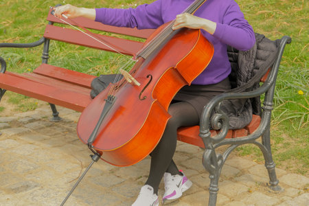 The cellist girl holds the cello, double bass in her hands. girl plays the cello. street musicians. .の写真素材