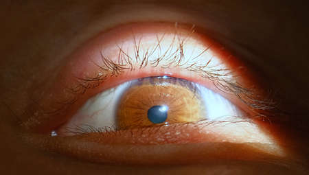 Human eye detail. eye closeup