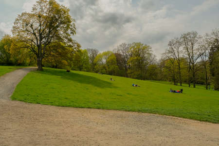 Green grass, close-up. natural background. juicy green grass in the parkの写真素材