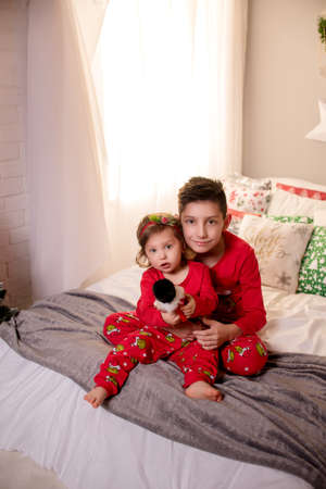 two children sit near the Christmas tree for christmas and hold gifts in their handsの写真素材