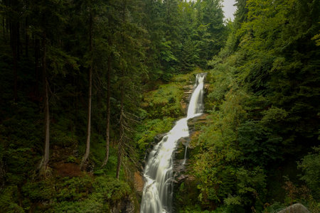 waterfall in the forest. mountain water. wildlife. mountain river turning into a waterfall.の写真素材