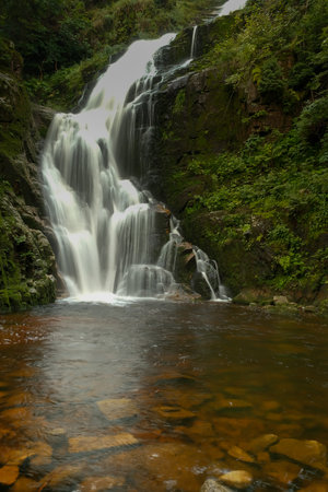 waterfall in the forest. mountain water. wildlife. mountain river turning into a waterfall.の写真素材