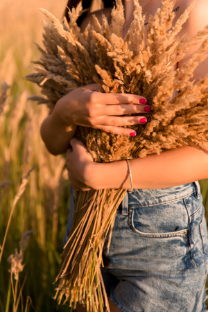 Cropped image of young woman holding spikelets in wheat field.の写真素材