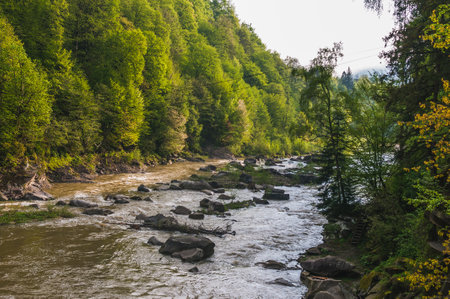 Mountain river flowing through the forest. Spring landscape in the mountainsの写真素材