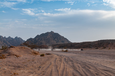 Tourists ride quad bikes in the desertの写真素材