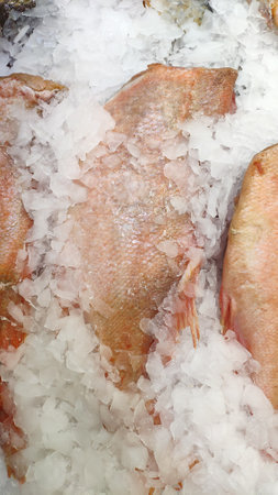 Fresh fish on ice at the fish market.