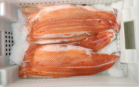 Fresh salmon fillet in the freezer