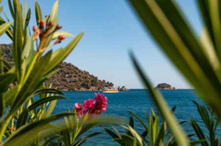 Picturesque view of the Aegean coast in Marmaris with a sailing boat, islands, mountains and flowers.の写真素材
