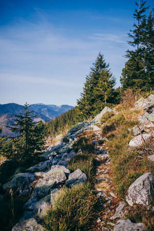 A canyon with a mountain in the backgroundの写真素材