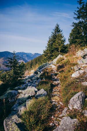 A rocky mountain with trees in the backgroundの写真素材