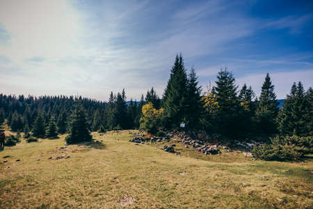 A sign in front of a treeの写真素材