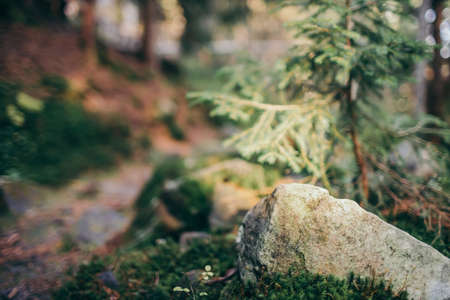 A close up of a rock
