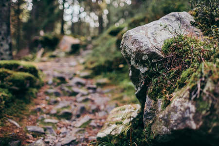 A close up of a rock a mountainの写真素材