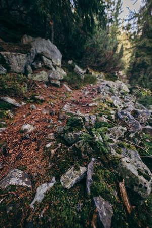 A close up of a rock a mountainの写真素材