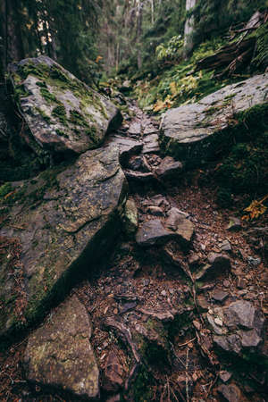 A close up of a rock a mountainの写真素材