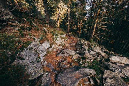 A rocky mountain with trees in the backgroundの写真素材