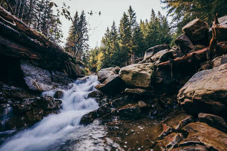 A waterfall in a forest a mountainの写真素材