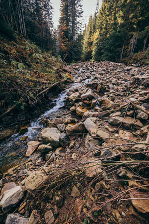 A close up of a rock a mountainの写真素材